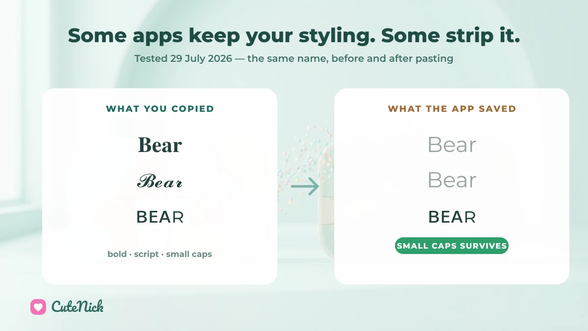The name Bear in bold, script and small caps, and the same three after an app normalised them: only small caps survives